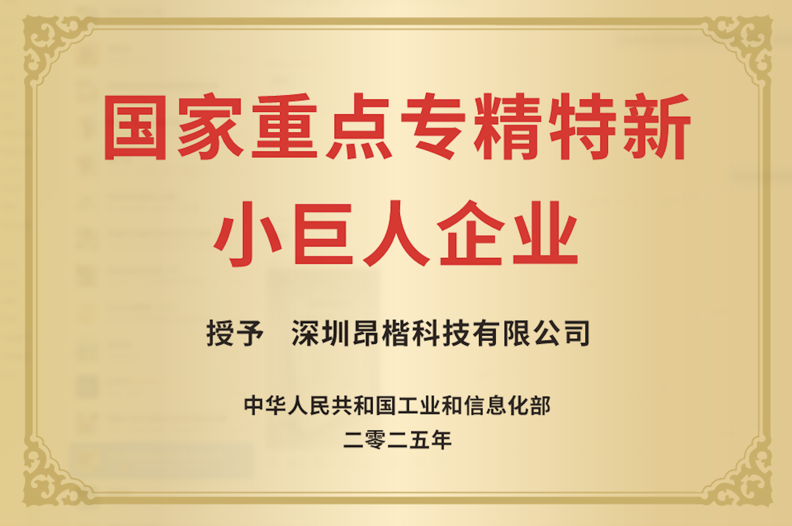 國家重點專精特新小巨人企業